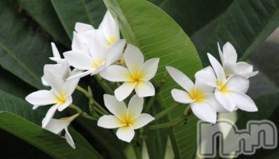 ��Ʋ����Х��顦�����clubTiara(�ƥ�����) �Ĥ���12��20���̥�֥����֤ˤޡ�