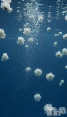 ��Ʋ����Х��顦�����clubTiara(�ƥ�����) �Ĥ���2��21���̥�֥����֤��ä������ʤäƤ��Ƥ��줷����