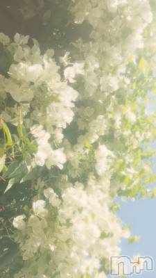 ��Ʋ����Х��顦�����clubTiara(�ƥ�����) �Ĥ���3��14���̥�֥����֤ѡ�