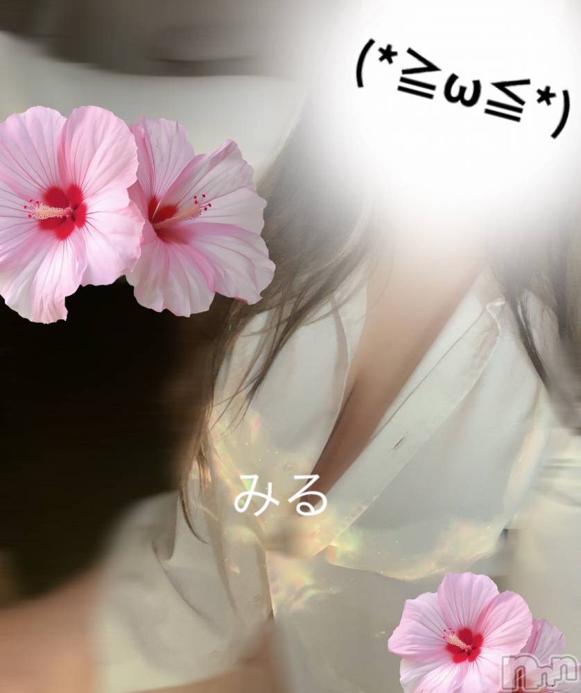 㡦ȯĥꥢ󥺥Men's Spa Sweet (󥺥ѥ) ߤ823̥֥֤