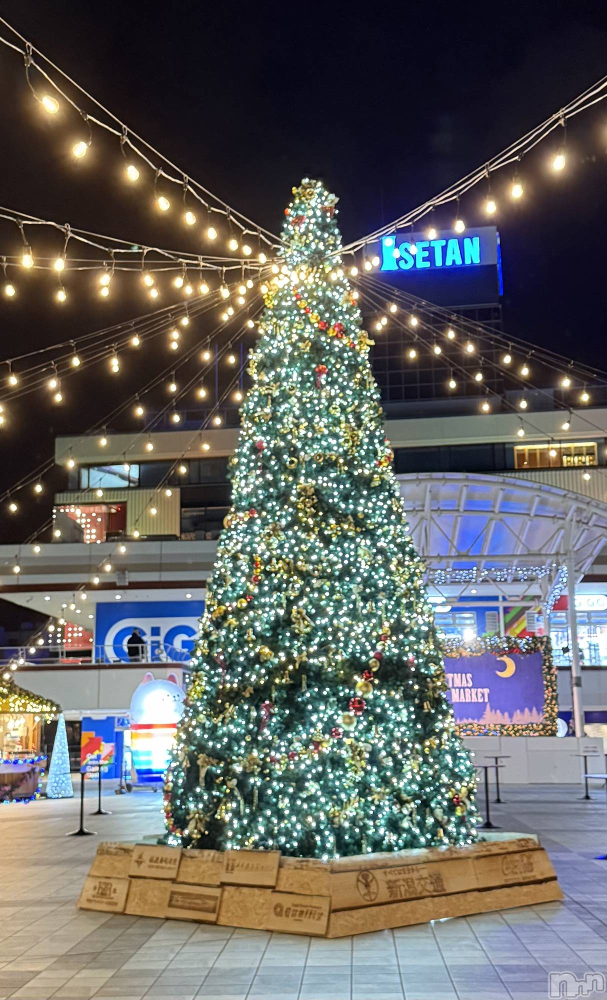 新潟メンズエステMen's Spa 神の手(メンズスパカミノテ)九十九ひな(23)の2025年12月11日写メブログ「きらきら🎄🌟」