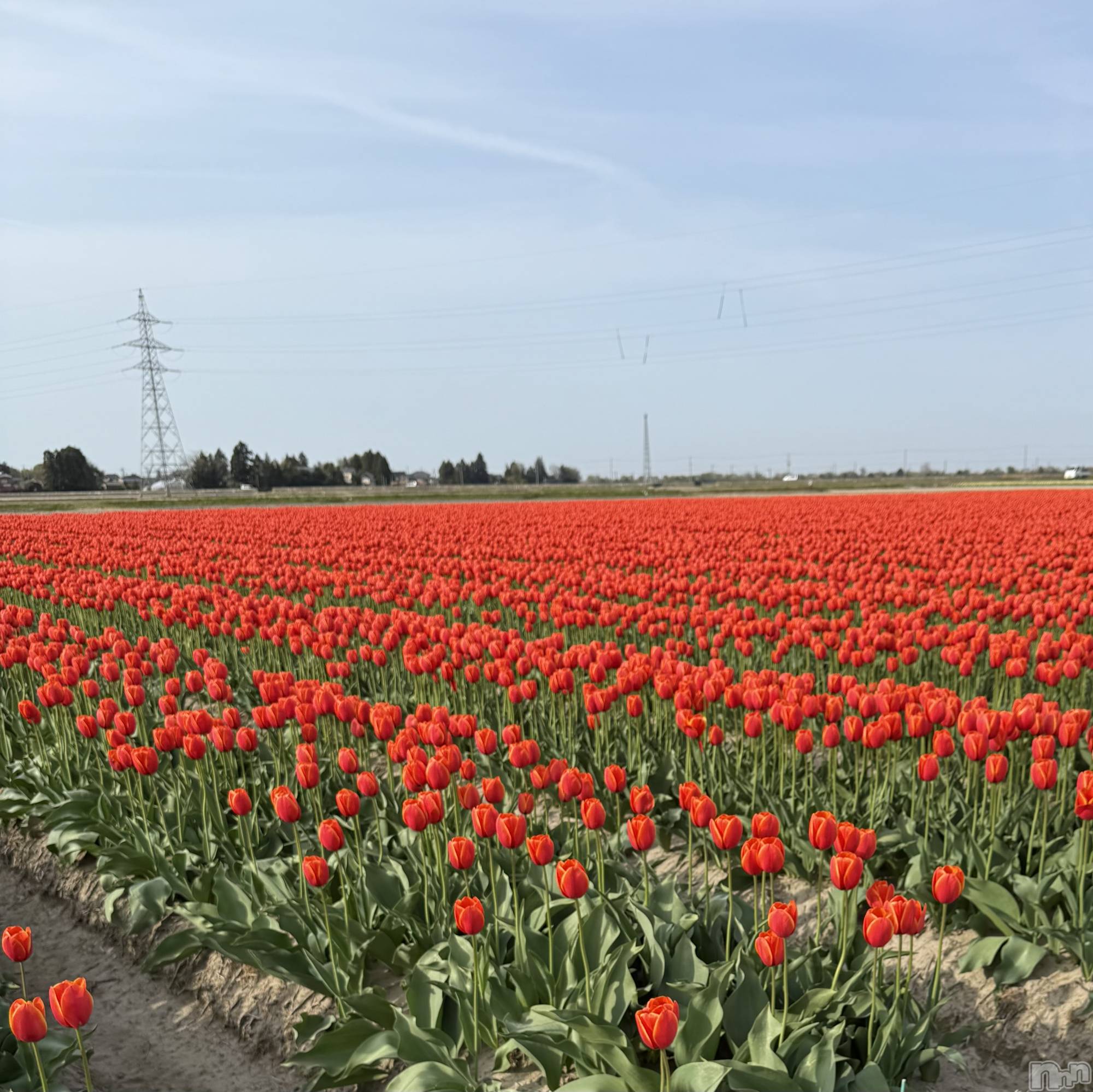 新潟メンズエステMen's Spa 神の手(メンズスパカミノテ)九十九ひな(23)の2026年4月23日写メブログ「油断してた>_<💦」