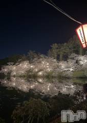 新潟メンズエステMen's Spa 神の手(メンズスパカミノテ) 九十九ひな(23)の4月10日写メブログ「何回いっても🌸」