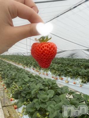 新潟メンズエステ Men's Spa 神の手(メンズスパカミノテ) 九十九ひな(23)の3月9日写メブログ「念願🩷」