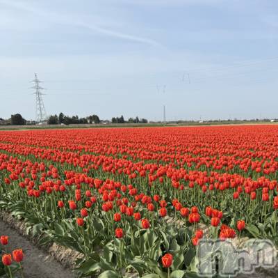 新潟メンズエステ Men's Spa 神の手(メンズスパカミノテ) 九十九ひな(23)の4月23日写メブログ「油断してた>_<💦」