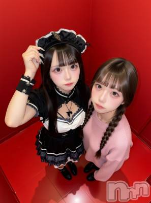 Х顦Souffle NIIGATA(ե˥) ǵ113̥֥֤á