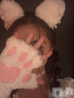 Х顦Diletto(ǥå) Ayu(24)66̥֥֥٥day 🐈🐈‍⬛🐶