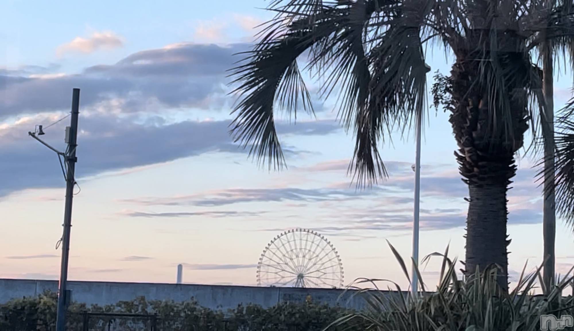 Х顦Diletto(ǥå) 2025ǯ919̥֥🎡