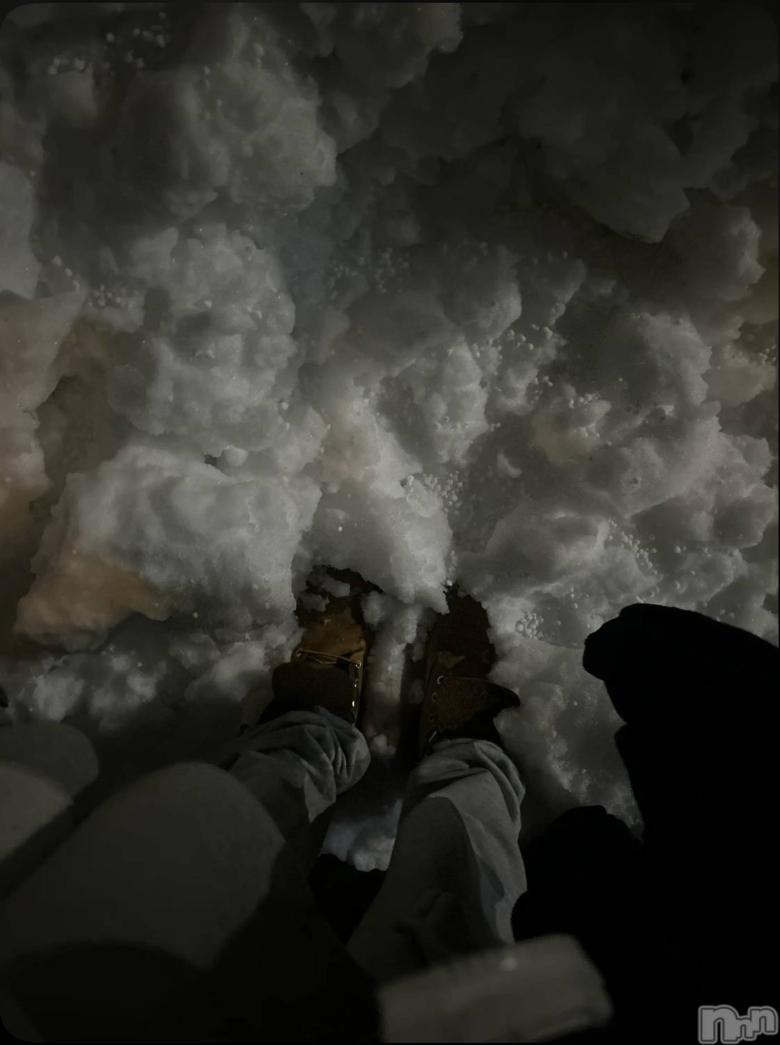 �����������Х��顦�����Diletto(�ǥ���å�) ��2026ǯ1��13���̥�֥����֤嵐��