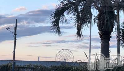 Х顦Diletto(ǥå) ͤ919̥֥🎡