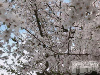 新潟デリヘル sleepy girl(スリーピーガール) ふゆちゃん(19)の4月4日写メブログ「ふわふわ」