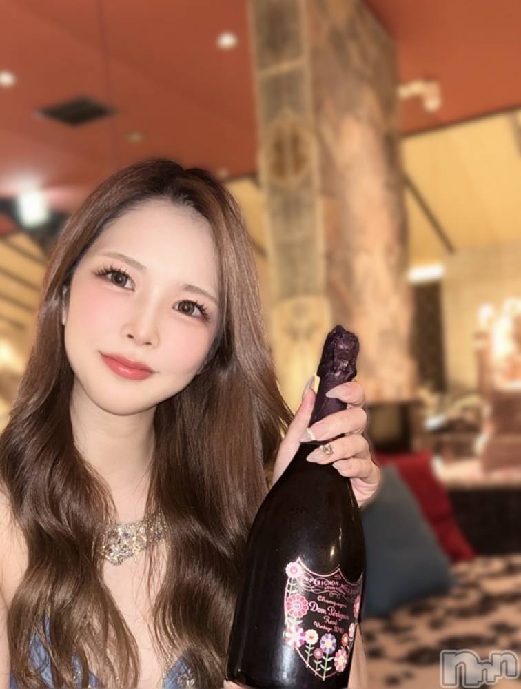 ��Ʋ����Х��顦�����151-A(������������) �Ҥ���1��31���̥�֥�����¼��δ����ɥ�ڥꥳ���🌼🌸✨��