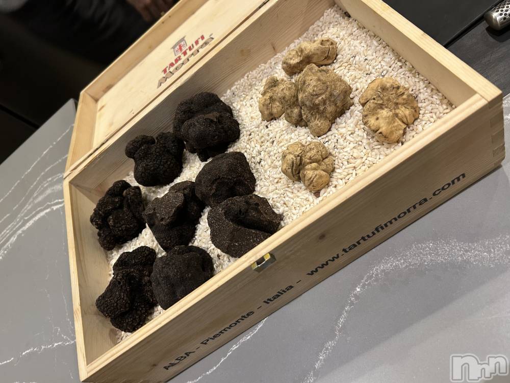 ��Ʋ����Х��顦�����151-A(������������) �Ҥ���2��10���̥�֥����֥ȥ���🖤��������ж�🌟��