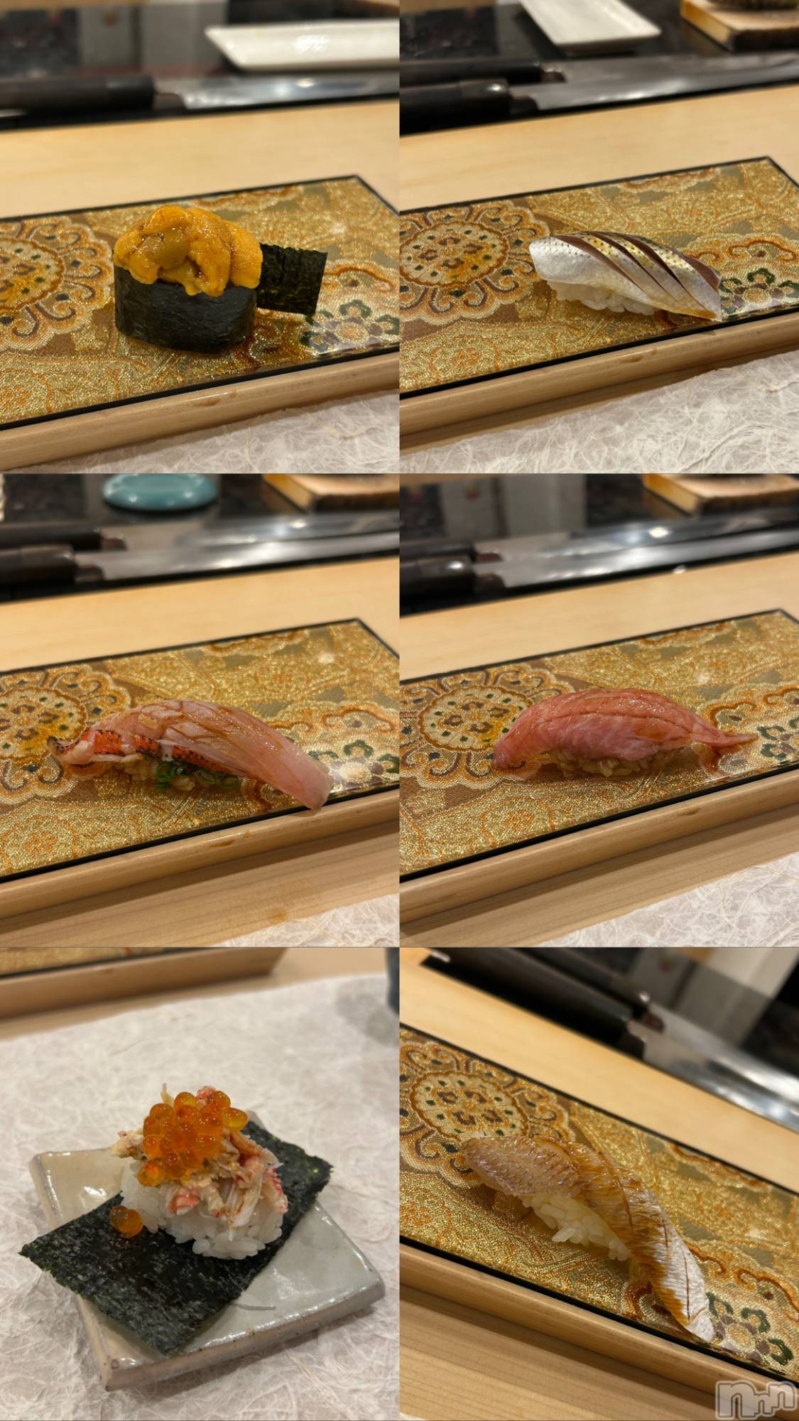 ��Ʋ����Х��顦�����151-A(������������) ��2026ǯ2��3���̥�֥����ֺ�������������жФǤ�😌✨️��