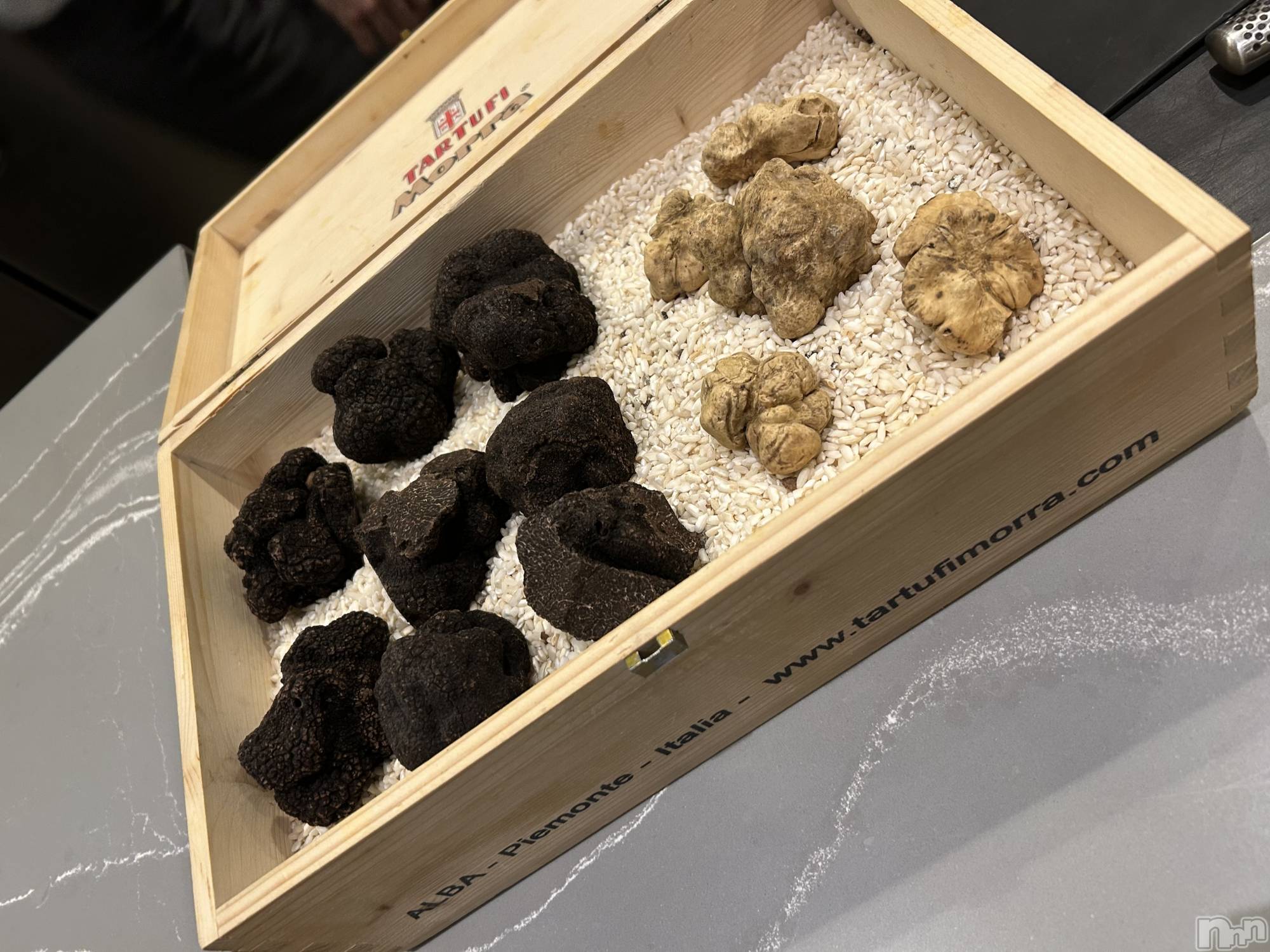 ��Ʋ����Х��顦�����151-A(������������) ��2026ǯ2��10���̥�֥����֥ȥ���🖤��������ж�🌟��