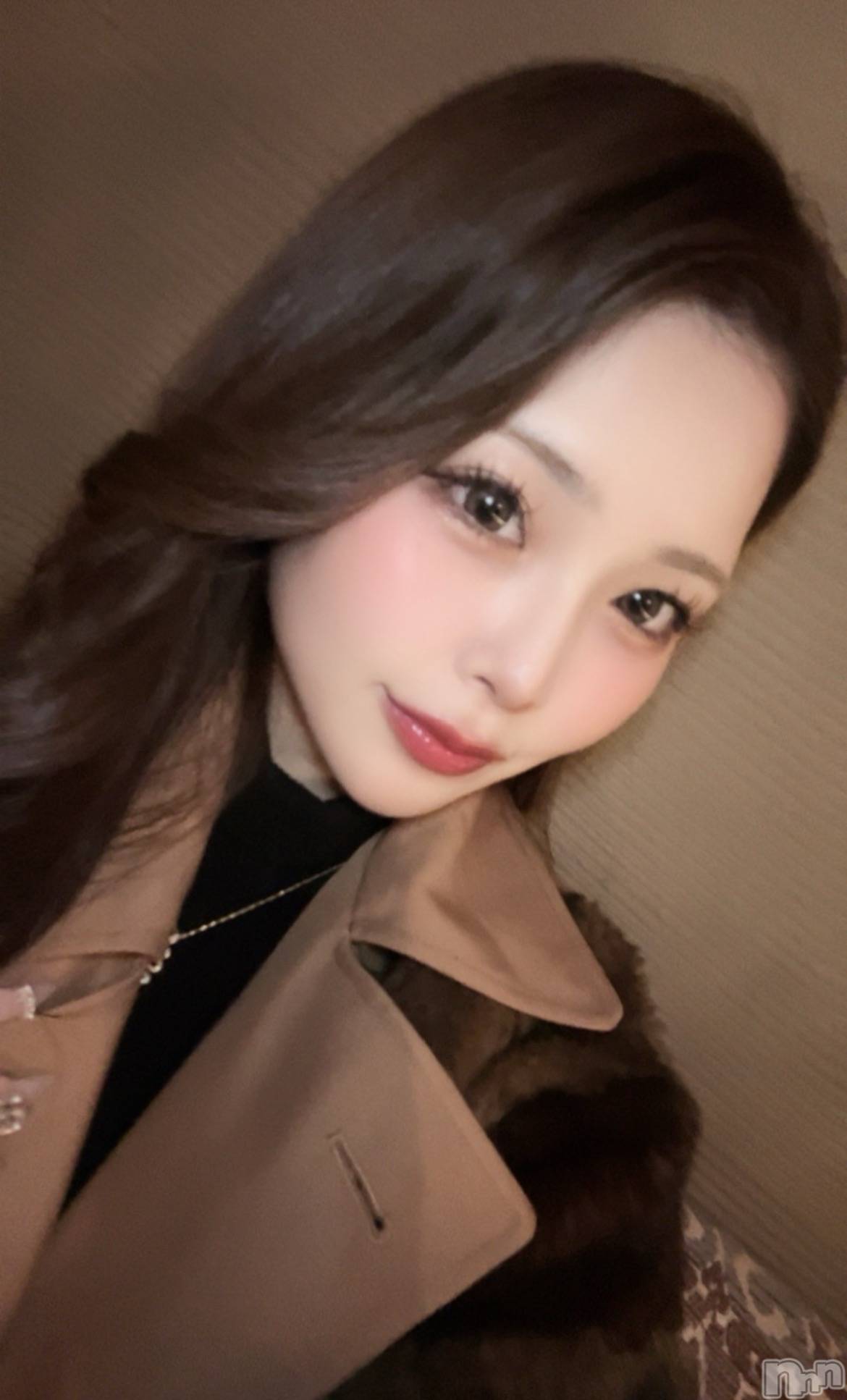 ��Ʋ����Х��顦�����151-A(������������) ��2026ǯ2��18���̥�֥����ֽж�!!��