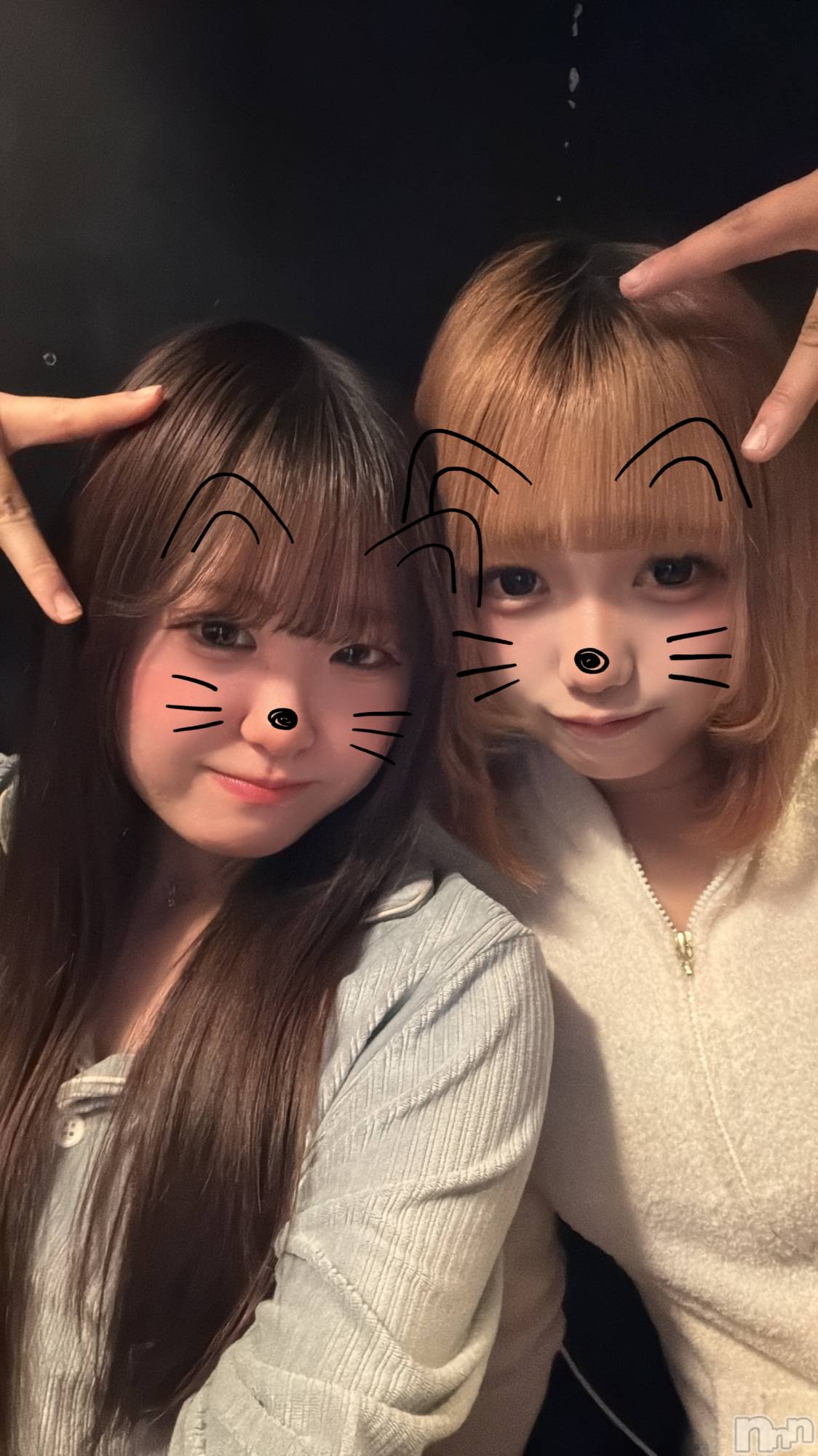 ʥå륺СGirls Bar Philia(륺Сեꥢ) 2025ǯ614̥֥֤䡼