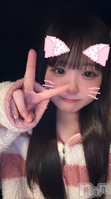 (ҥߥ) Ĺҥߥġʥå륺С Girls Bar Philia(륺Сեꥢ)ҡ