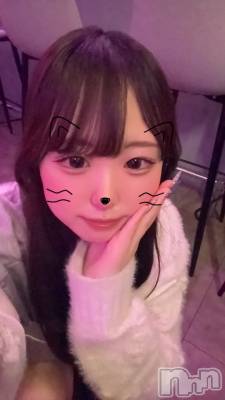 (ҥߥ) Ĺҥߥġʥå륺С Girls Bar Philia(륺Сեꥢ)ҡ