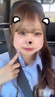 6/6