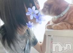 新潟デリヘルLa Muse(ラミューズ) しき(29)の10月22日写メブログ「FPS🎮みたいななんちゃら診断」