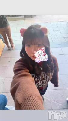 �ޤ꡼�����