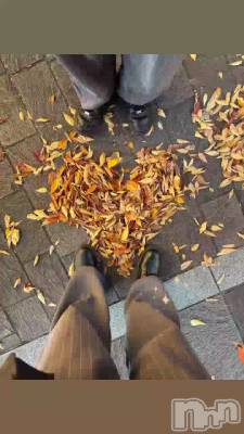 դǤϡ‪︎❤︎‪