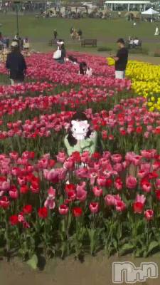 ���塼��å�Ȫ🌷.*