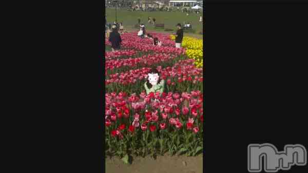 �֥��塼��å�Ȫ🌷.*��