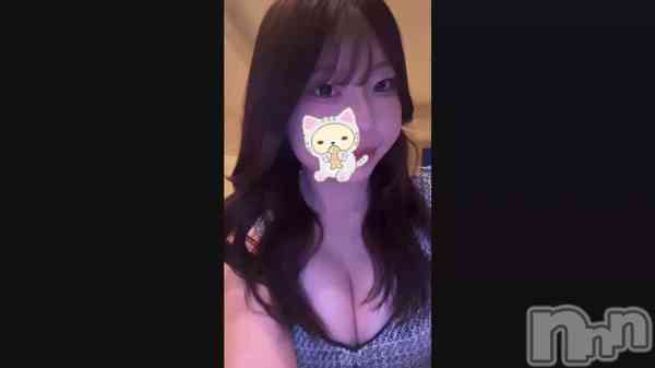 �֤��������С���