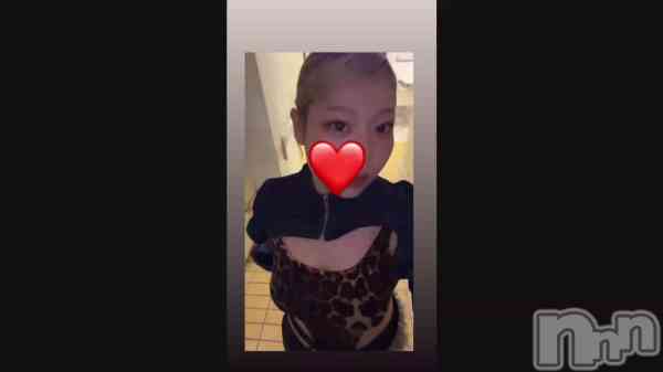 ��✨️🐯‎🤍��