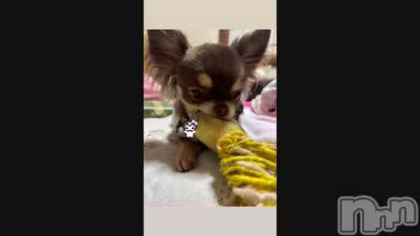 �֤���襤��