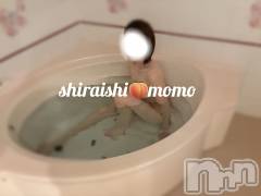 新潟デリヘル新潟の可憐な妻たち～秘密の逢瀬～(ニイガタノカレンナツマタチ～ヒミツノオウセ～) 【新人】白石 もも(34)の9月12日写メブログ「一緒に、、🤭💓」