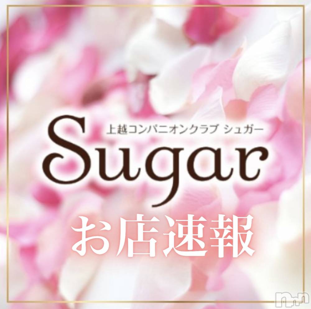 襳ѥ˥󥯥Sugar(奬) SugarΤ餻516̥֥6