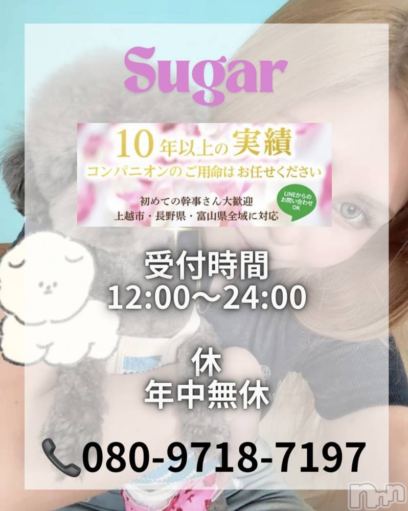 襳ѥ˥󥯥Sugar(奬) SugarΤ餻717̥֥֡®