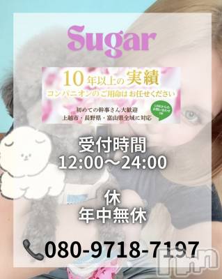 襳ѥ˥󥯥Sugar(奬) SugarΤ餻717̥֥֡®