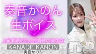 長岡デリヘル ROOKIE() 奏音かのん☆ブラックの5月20日動画「」