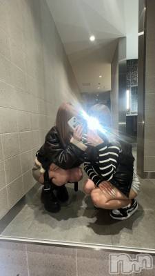 (20) Ĺ152cmХ顦 Diletto(ǥå)ҡ