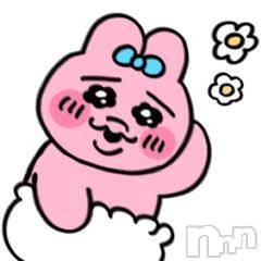 Ҥ(21) Ĺ157cmХ顦 Diletto(ǥå)ҡ