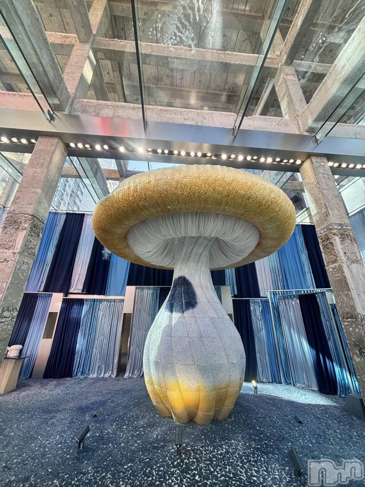 ����������ʥå��������륺�С����饪���ϥ��ܡ���bar���ͻ���(���饪���ϥ��ܡ���С��ӥ��󥷥ޥ�) �Ҥ����3��13���̥�֥�����3��13�� 16��21ʬ�Υ֥�����