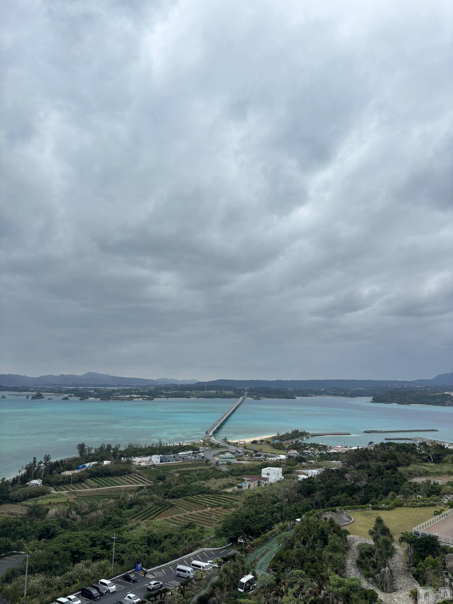 ����������ʥå��������륺�С����饪���ϥ��ܡ���bar���ͻ���(���饪���ϥ��ܡ���С��ӥ��󥷥ޥ�) ��2026ǯ2��6���̥�֥�����2��6�� 14��49ʬ�Υ֥�����