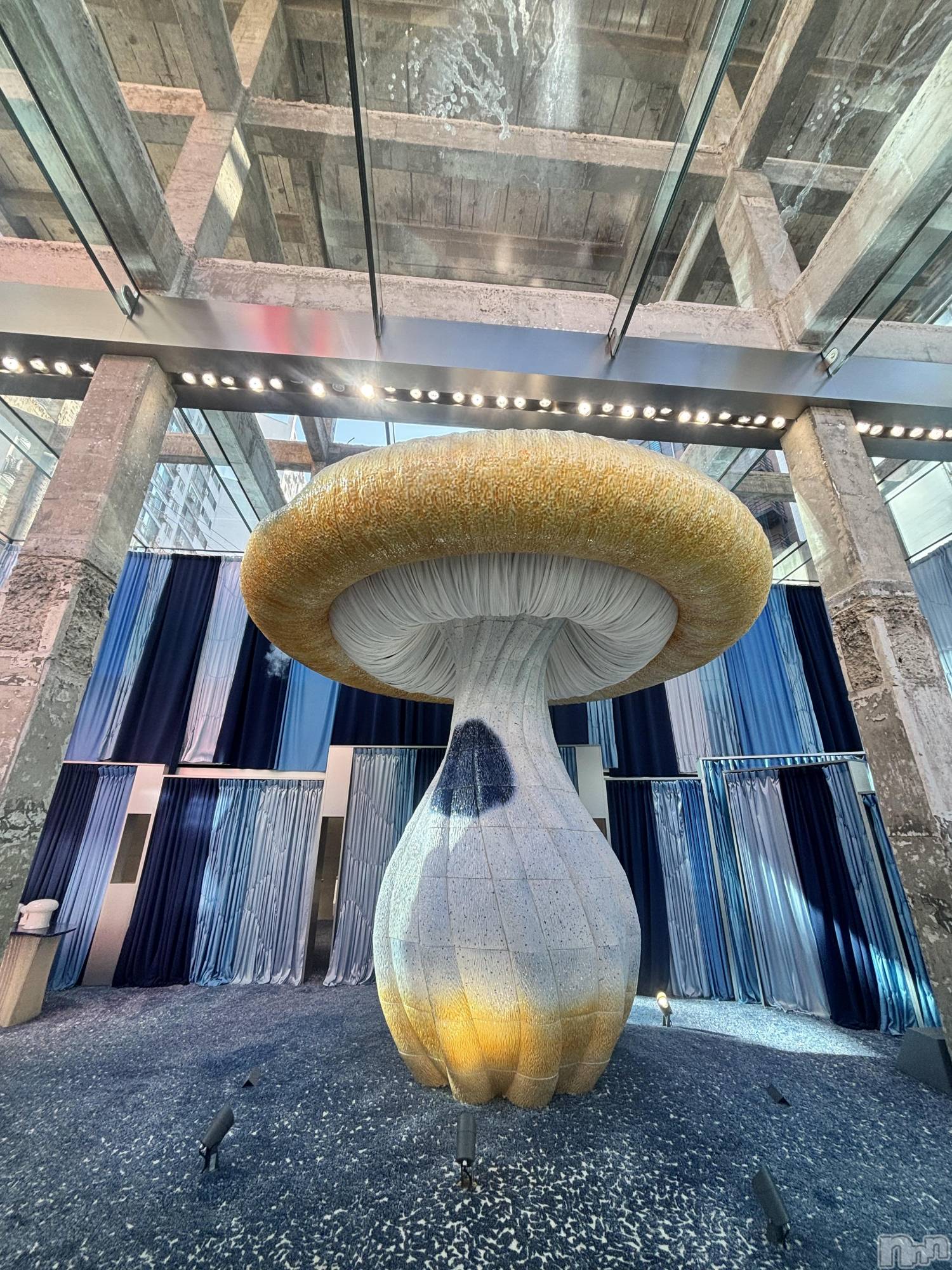 ����������ʥå��������륺�С����饪���ϥ��ܡ���bar���ͻ���(���饪���ϥ��ܡ���С��ӥ��󥷥ޥ�) ��2026ǯ3��13���̥�֥�����3��13�� 16��21ʬ�Υ֥�����