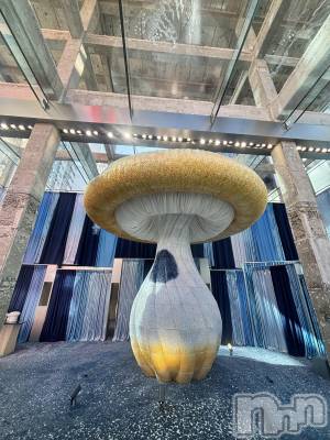 ����������ʥå��������륺�С����饪���ϥ��ܡ���bar���ͻ���(���饪���ϥ��ܡ���С��ӥ��󥷥ޥ�) �Ҥ����3��13���̥�֥�����3��13�� 16��21ʬ�Υ֥�����