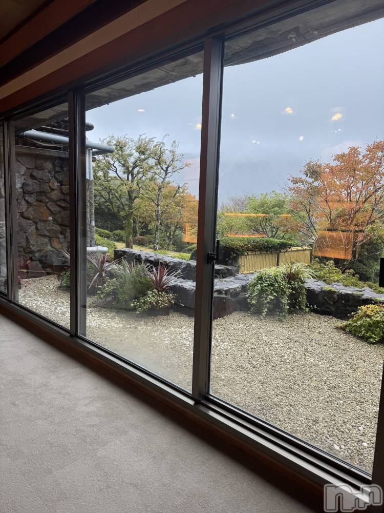 ʥå륺С饪ϥܡbarͻ(饪ϥܡСӥ󥷥ޥ) ⤫112̥֥ι♨️