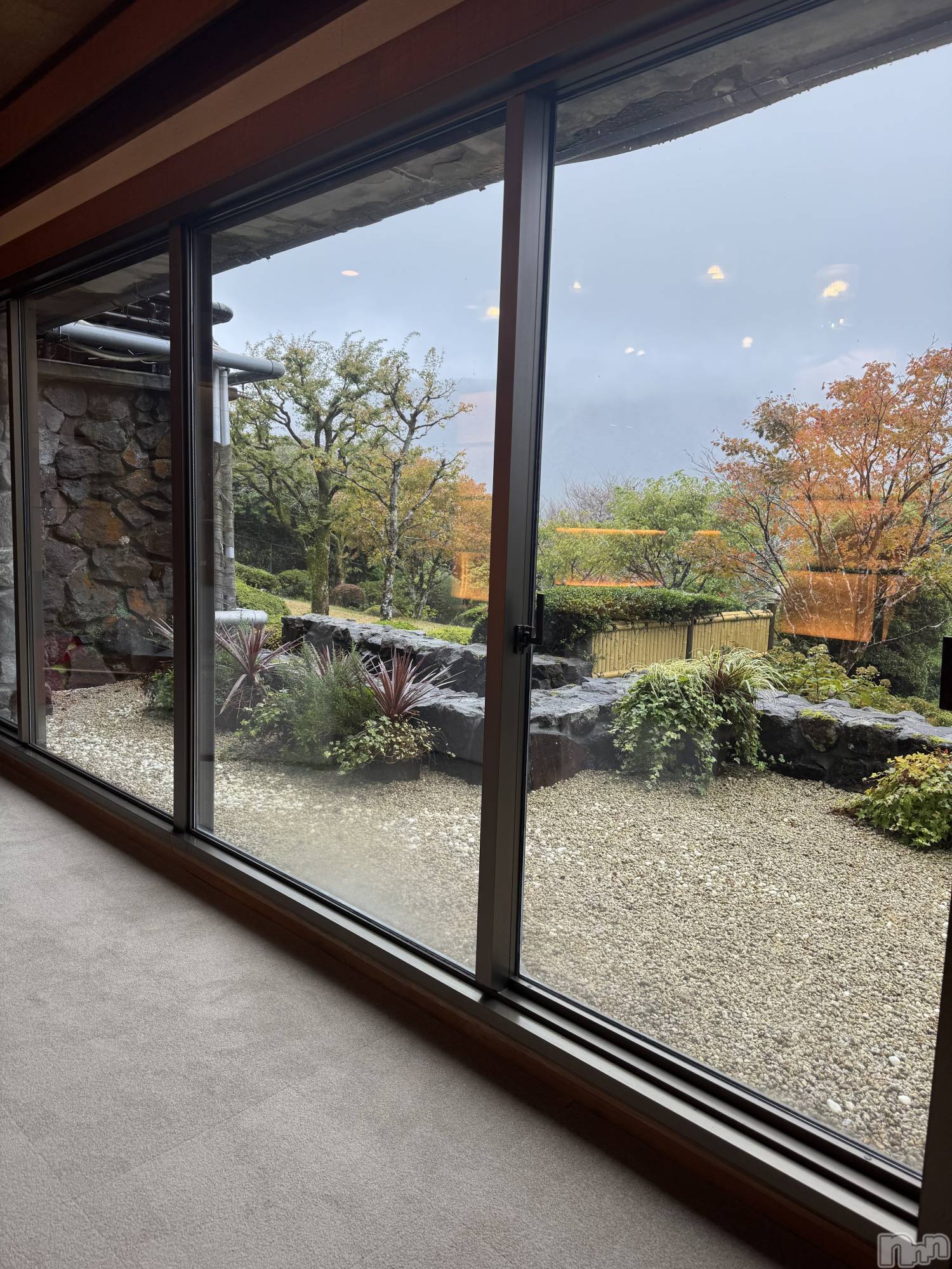 ʥå륺С饪ϥܡbarͻ(饪ϥܡСӥ󥷥ޥ) 2025ǯ112̥֥ι♨️