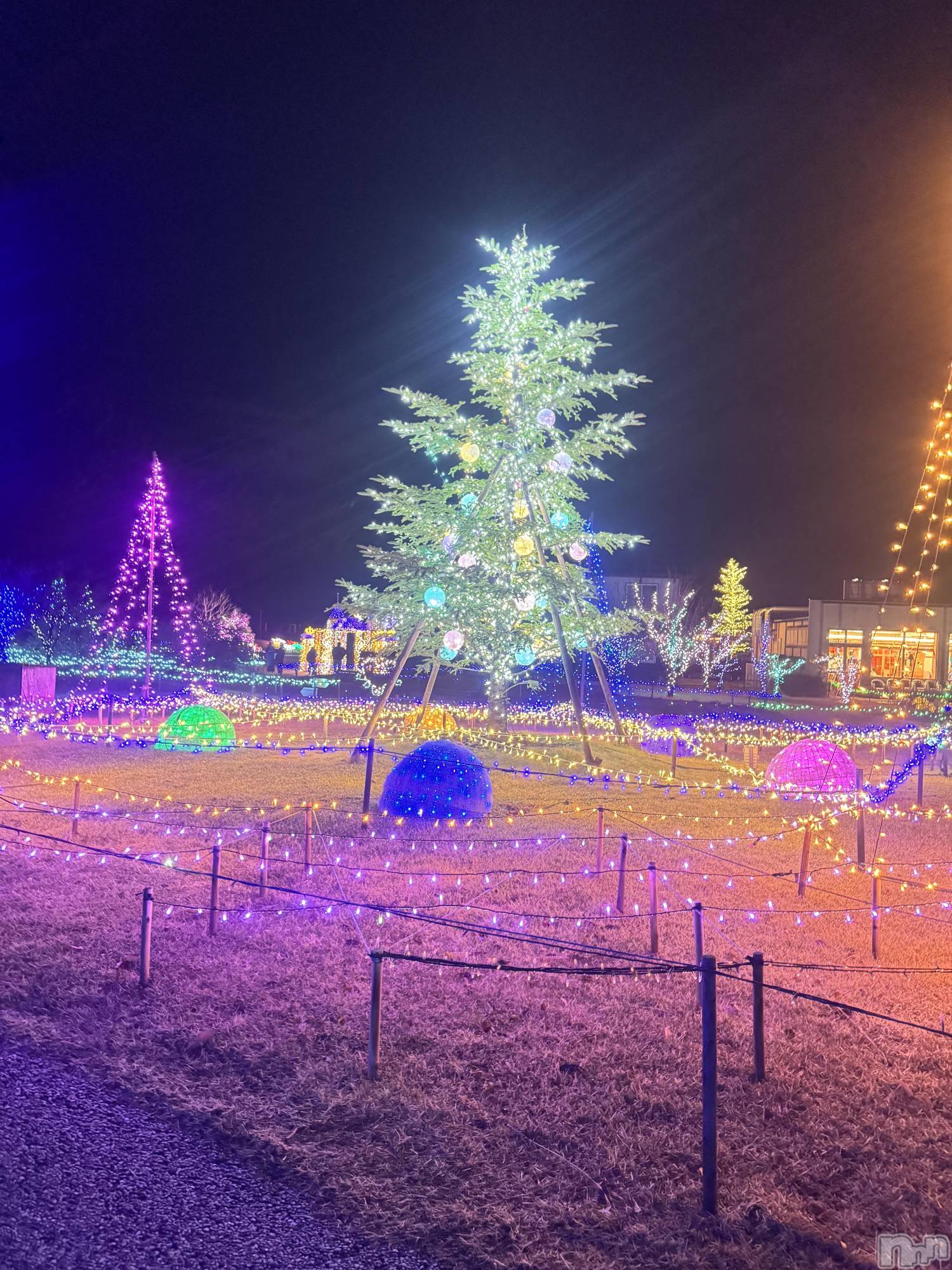 ʥå륺С饪ϥܡbarͻ(饪ϥܡСӥ󥷥ޥ) 2025ǯ1211̥֥֥ꥹޥ