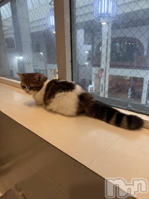 新潟駅前スナック・ガールズバーカラオケハイボールbar美人姉妹(カラオケハイボールバービジンシマイ) もかの10月21日写メブログ「休日⭐️」