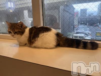 新潟駅前スナック・ガールズバーカラオケハイボールbar美人姉妹(カラオケハイボールバービジンシマイ) もかの10月21日写メブログ「休日🤍」