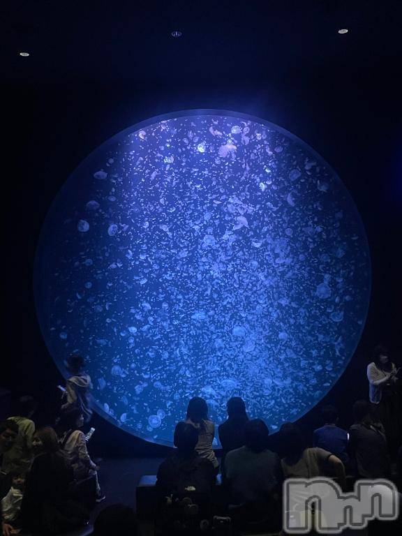 新潟デリヘル新潟人妻デリバリーヘルス 下心 ～したごころ～(シタゴコロ)まりさ奥様(28)の2026年5月12日写メブログ「今日も🤍」