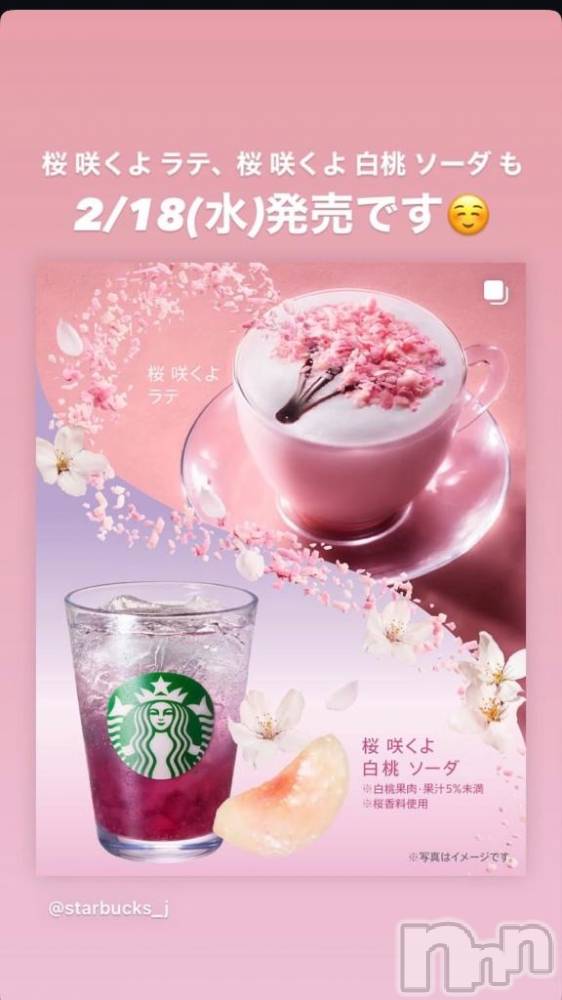 新潟デリヘルGRACE　新潟(グレース　ニイガタ) 蓮水（はすみ）(33)の2月13日写メブログ「１８日スタート🌸」